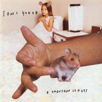 Album art from A Thousand Leaves by Sonic Youth