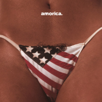 Album art from Amorica by The Black Crowes