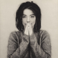 Album art from Debut by Björk