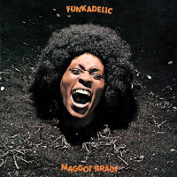 Album art from Maggot Brain by Funkadelic