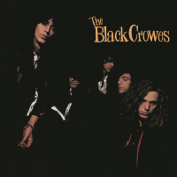 Album art from Shake Your Money Maker by The Black Crowes