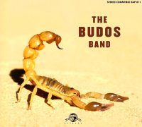 Album art from The Budos Band II by The Budos Band