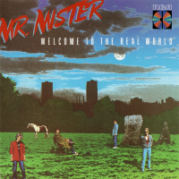 Album art from Welcome to the Real World by Mr. Mister