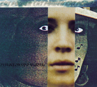 Album art from What Would the Community Think by Cat Power