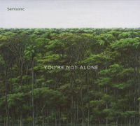 Album art from You’re Not Alone by Semisonic